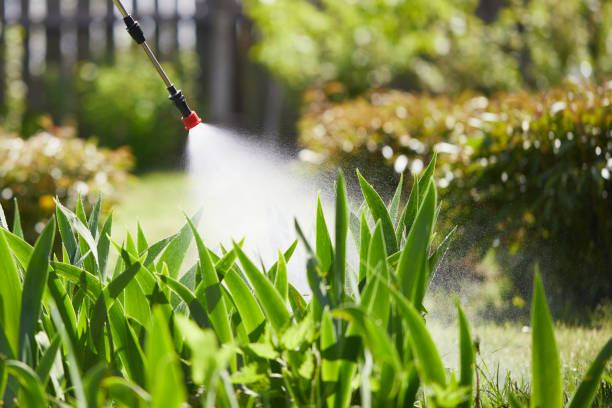 24/7 Emergency Mosquito Control experts in College Station, TX