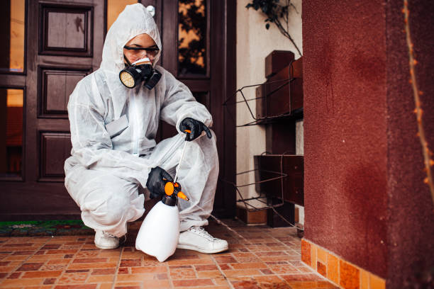 Reliable Mosquito Control contractor in College Station, TX by Show Me Pest Control