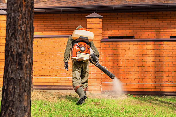 Top rated local Mosquito Control specialists in College Station, TX